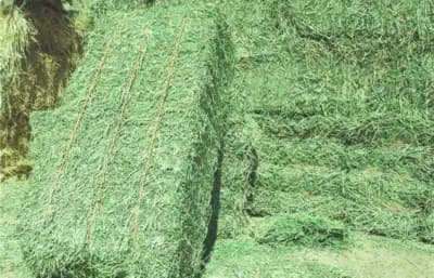 HayMax product