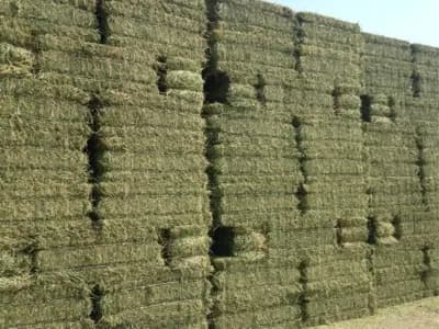 Quality hay bales