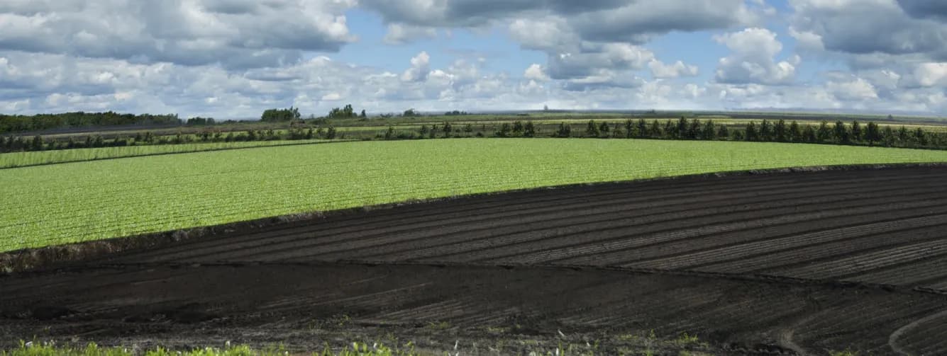 Healthy farmland background