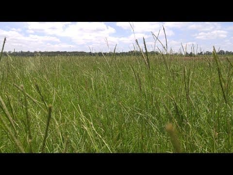 Transforming Exceptionally Poor Soil