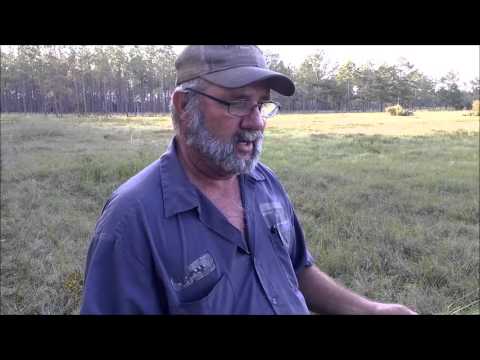 Mycorr Plus and Better Pasture, by Aaron Fish