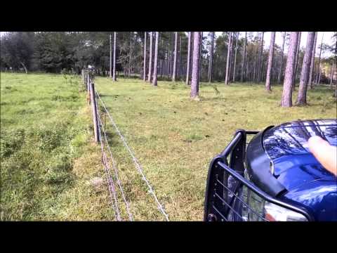 MycorrPlus Makes a Visible Difference in Pasture